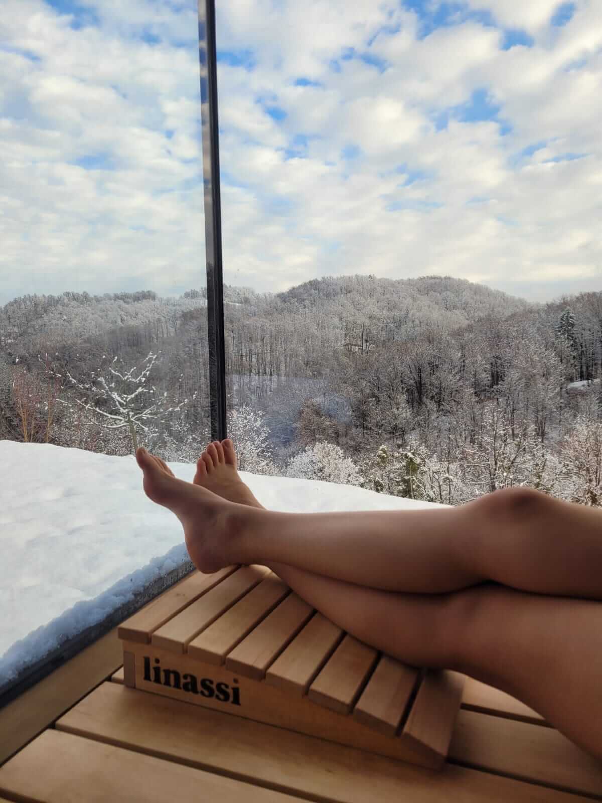 Linassi Premium zunanja savna – narava, toplina in razkošje na vašem vrtu - slika 7